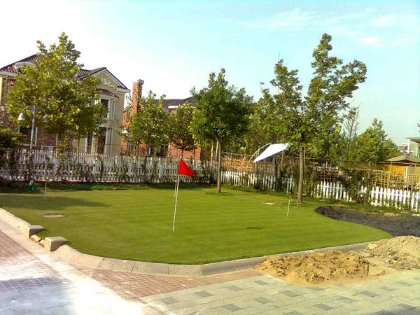 別墅庭院真草果嶺